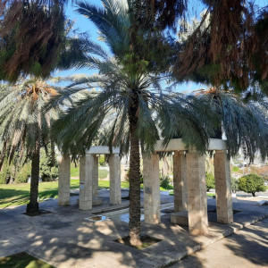 פארק תל גיבורים - חולון