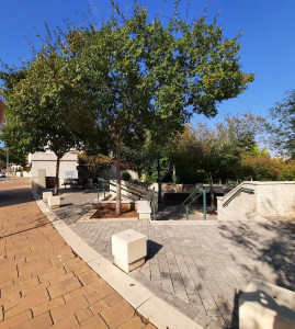 גן ציבורי - מתחם קייזר, מודיעין