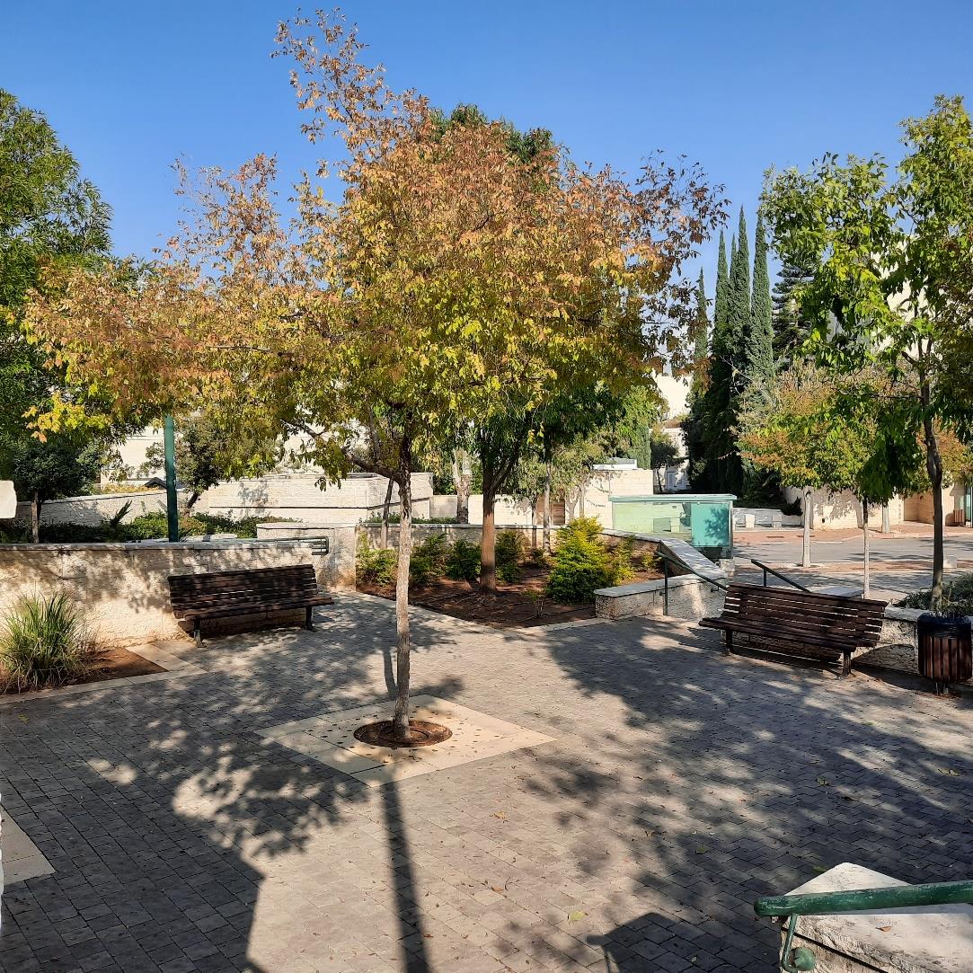 גן ציבורי - מתחם קייזר, מודיעין