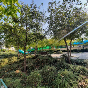 גן ציבורי - מתחם קייזר, מודיעין