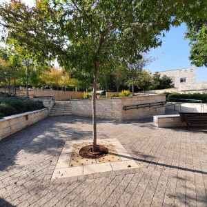 גן ציבורי - מתחם קייזר, מודיעין