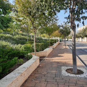 גן ציבורי - מתחם קייזר, מודיעין