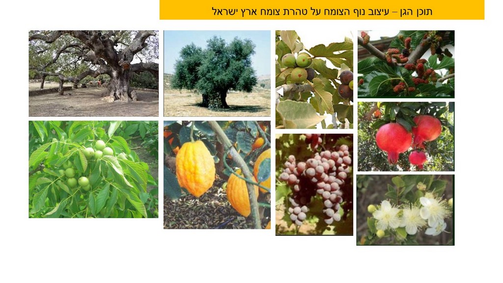גן ארכיאולוגי - בית אל