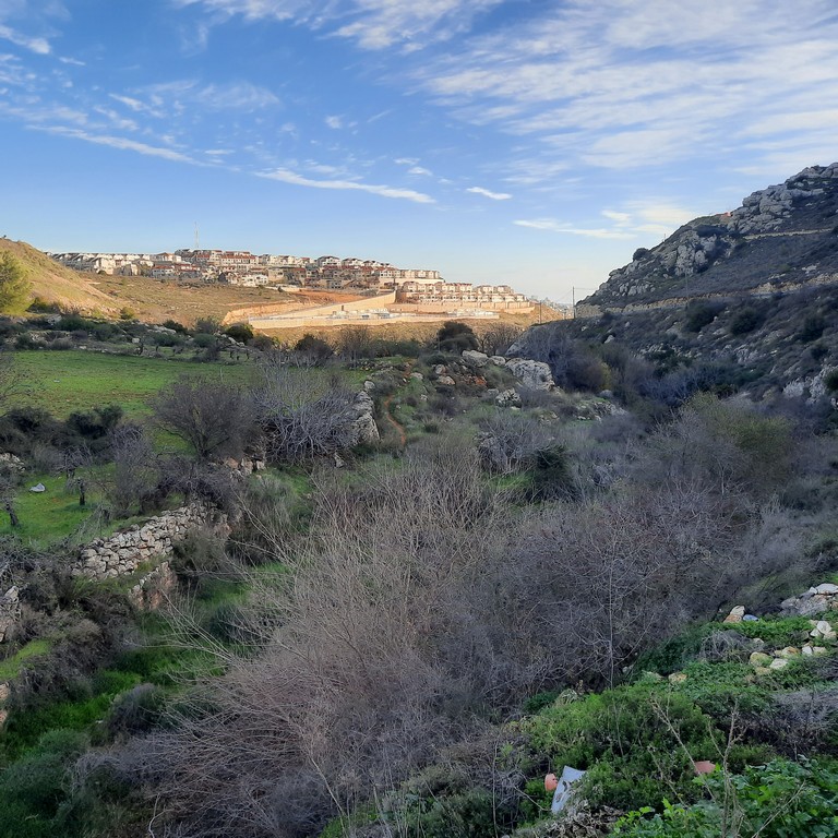 3.	פיתוח נופי לתב"ע 400 יח"ד – תכנון מפורט