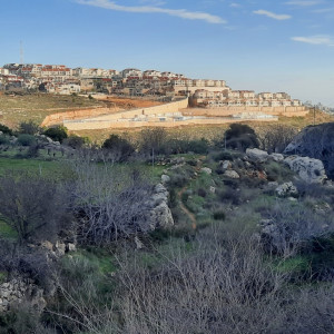 3.	פיתוח נופי לתב"ע 400 יח"ד – תכנון מפורט