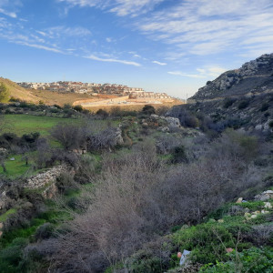 3.	פיתוח נופי לתב"ע 400 יח"ד – תכנון מפורט