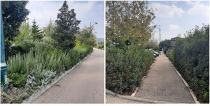 ניר משה - פיתוח רחובות ההרחבה