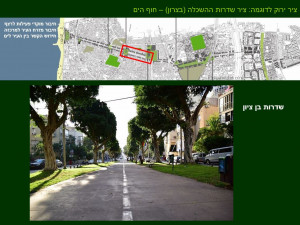 צירים ירוקים בתל אביב יפו – מסמכי מדיניות