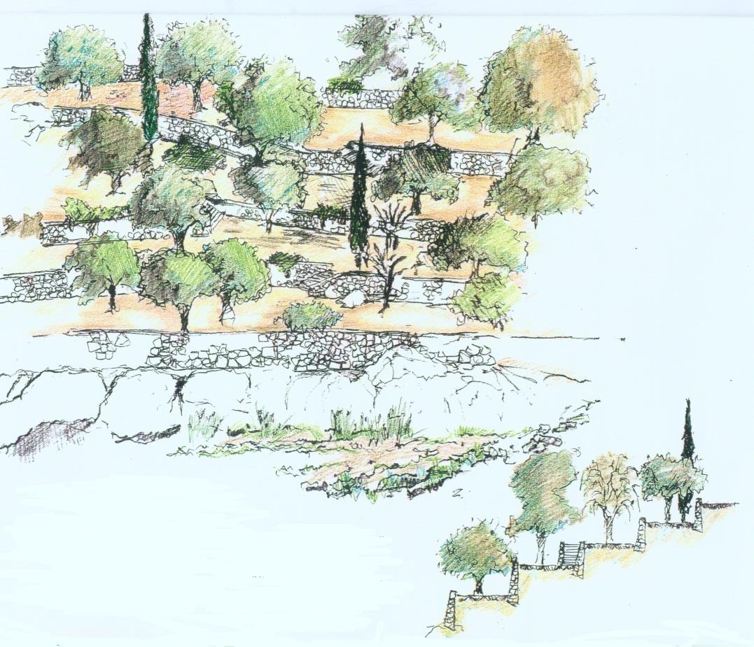 רכס הר הרוח – מצפור נוף, חניון ושביל טיול