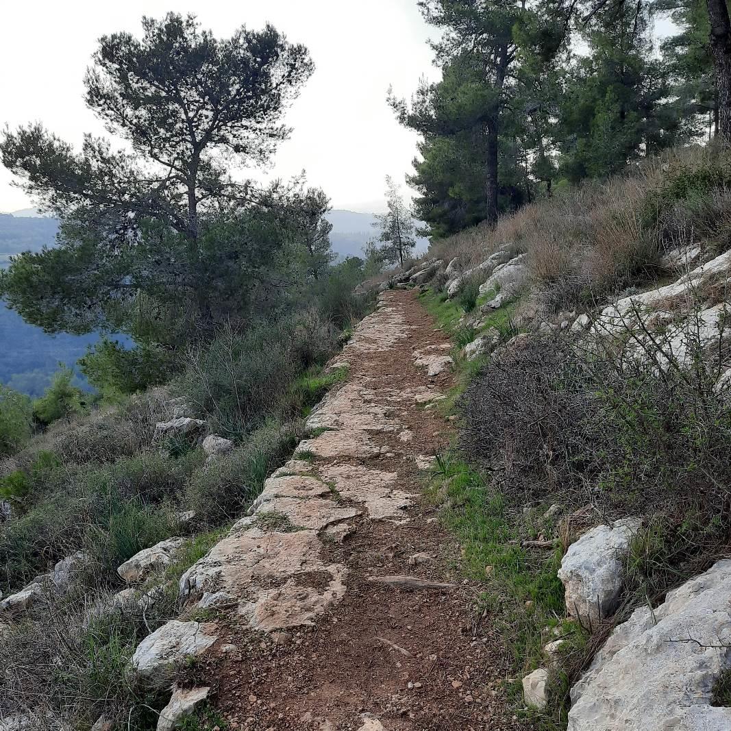 רכס הר הרוח – מצפור נוף, חניון ושביל טיול