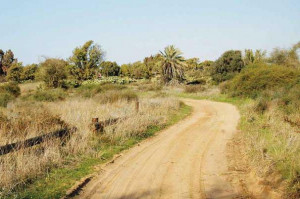 ניצנים – גבעה 69