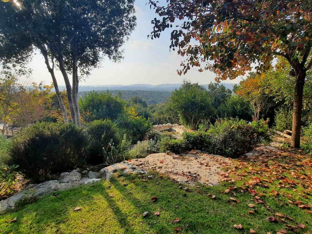 גינה פרטית משולבת בחורש הים תיכוני