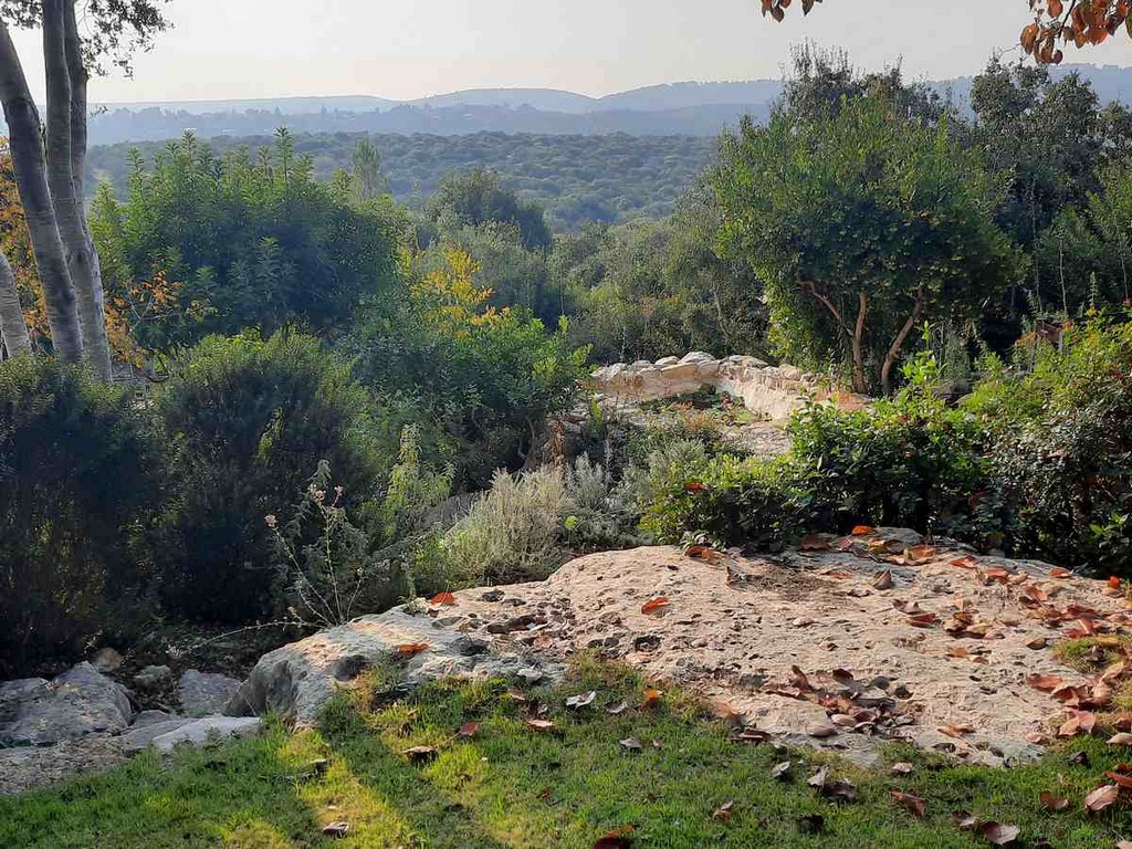 גינה פרטית משולבת בחורש הים תיכוני