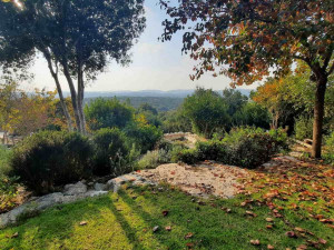 גינה פרטית משולבת בחורש הים תיכוני