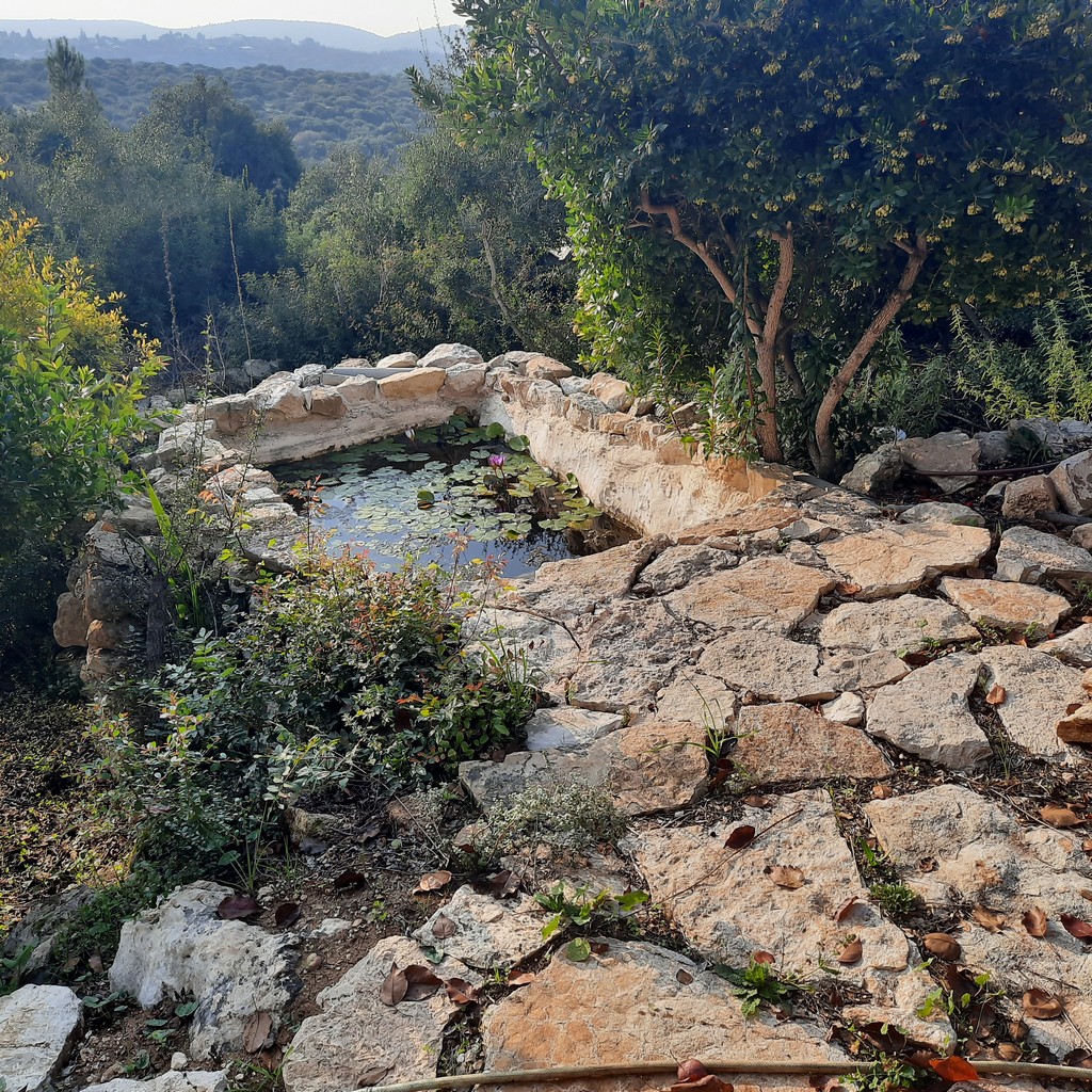 גינה פרטית משולבת בחורש הים תיכוני