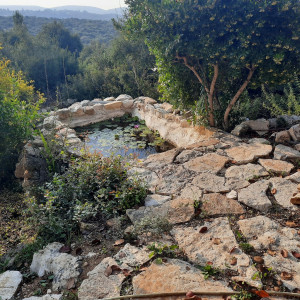 גינה פרטית משולבת בחורש הים תיכוני