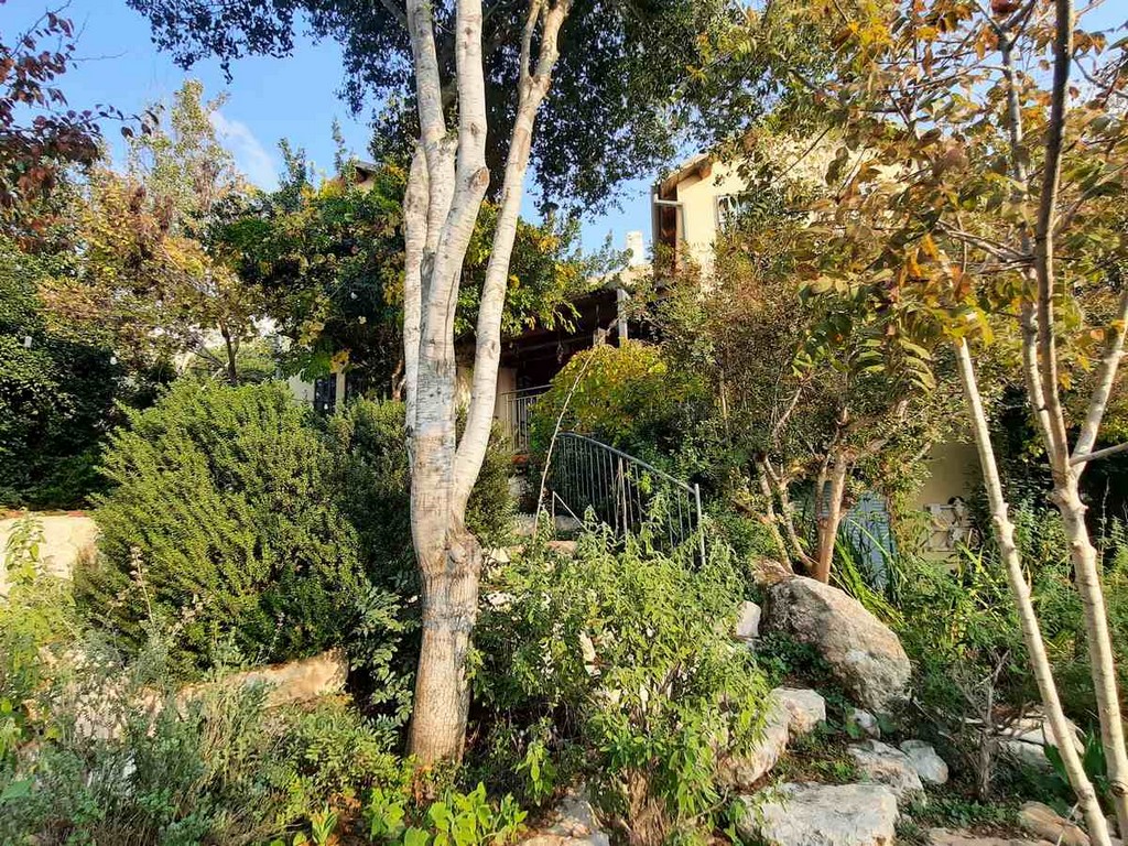 גינה פרטית משולבת בחורש הים תיכוני