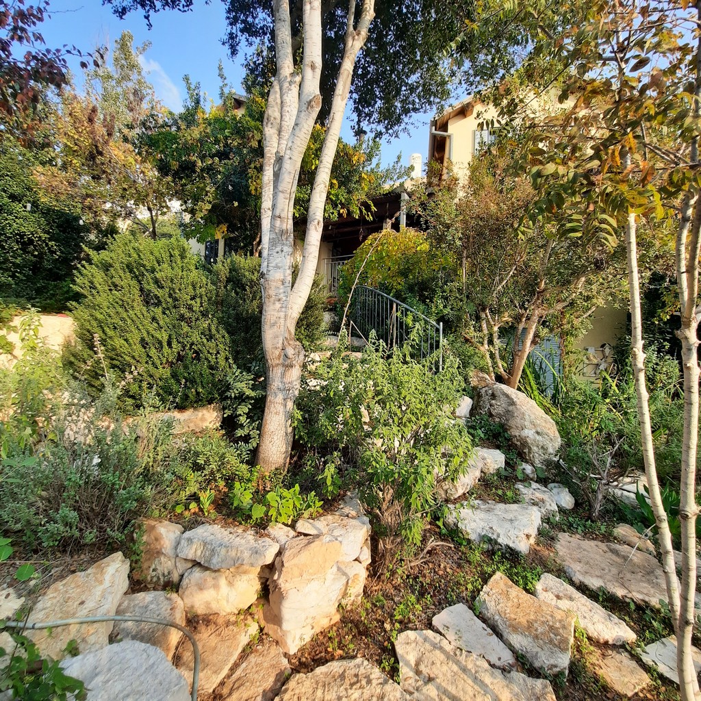 גינה פרטית משולבת בחורש הים תיכוני