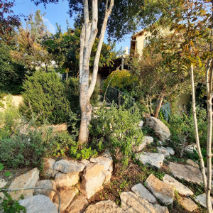 גינה פרטית משולבת בחורש הים תיכוני