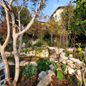 גינה פרטית משולבת בחורש הים תיכוני