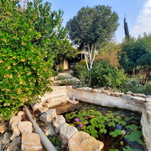 גינה פרטית משולבת בחורש הים תיכוני