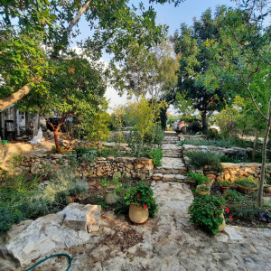 גינה פרטית משולבת בחורש הים תיכוני