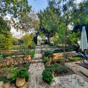 גינה פרטית משולבת בחורש הים תיכוני