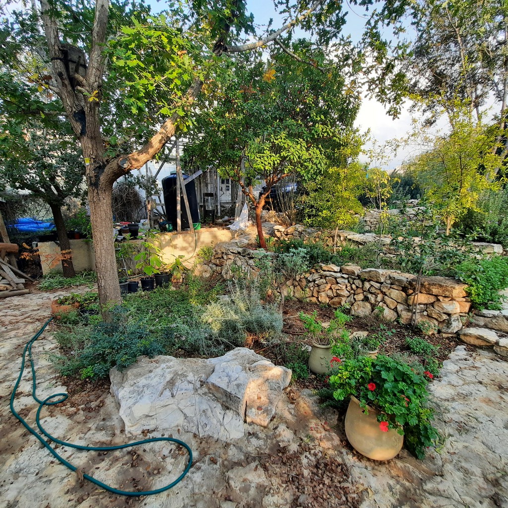 גינה פרטית משולבת בחורש הים תיכוני