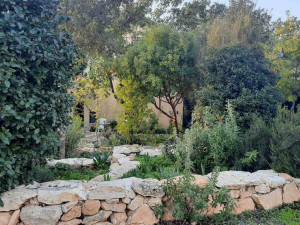 גינה פרטית משולבת בחורש הים תיכוני