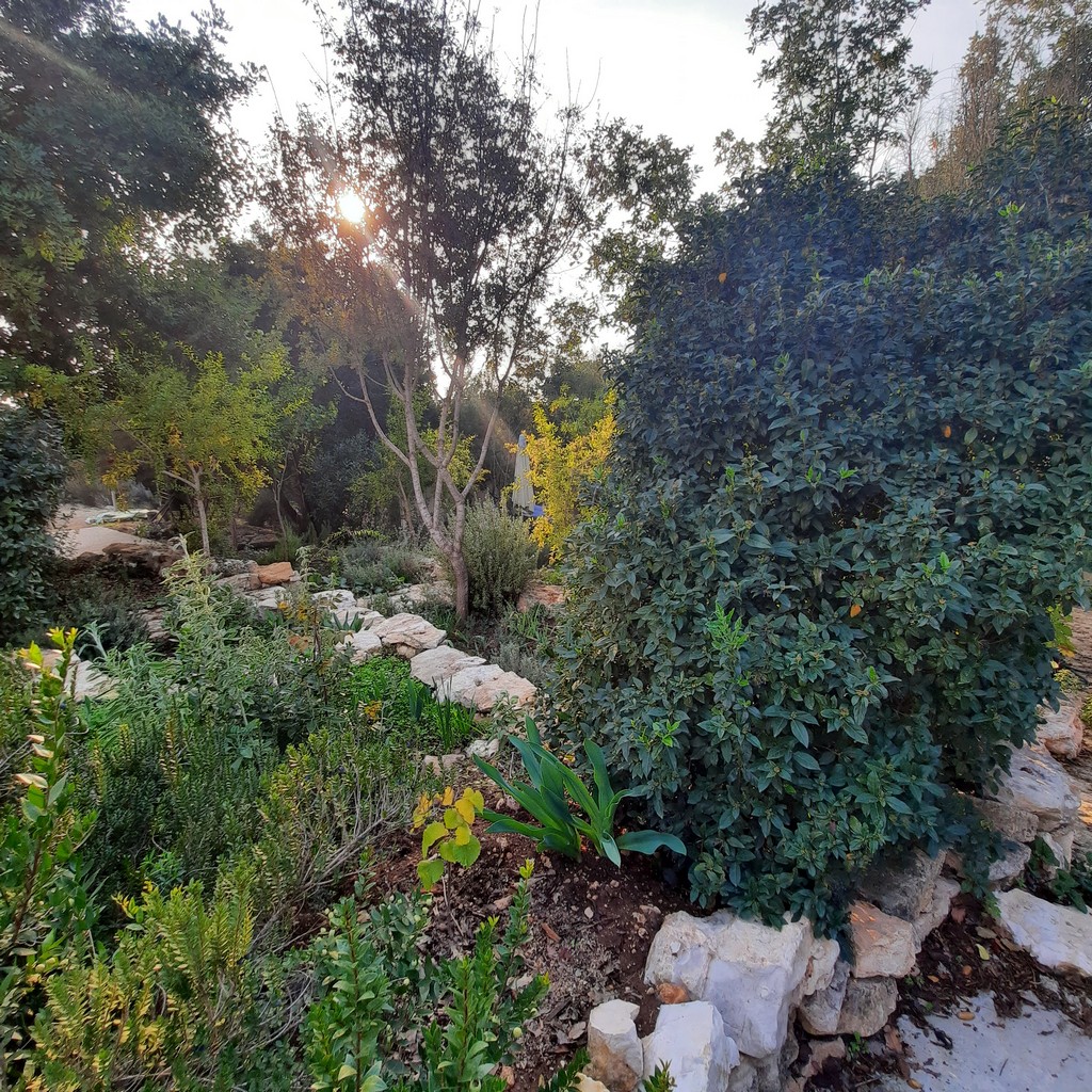 גינה פרטית משולבת בחורש הים תיכוני