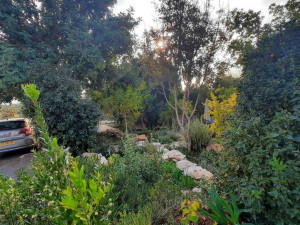 גינה פרטית משולבת בחורש הים תיכוני