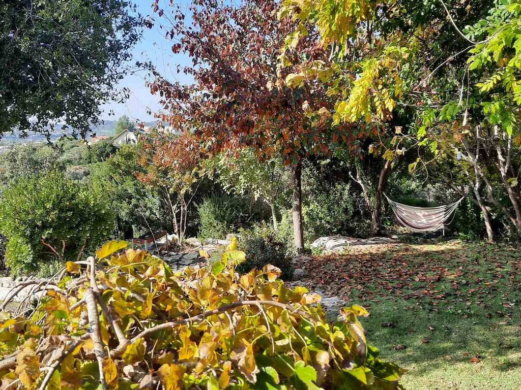 גינה פרטית משולבת בחורש הים תיכוני