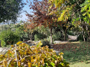 גינה פרטית משולבת בחורש הים תיכוני