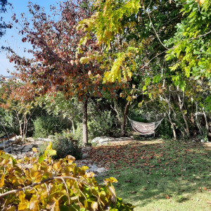 גינה פרטית משולבת בחורש הים תיכוני