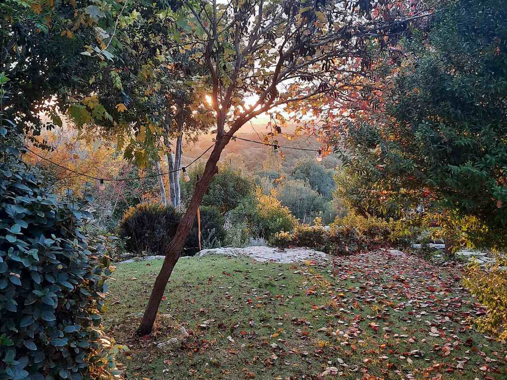 גינה פרטית משולבת בחורש הים תיכוני