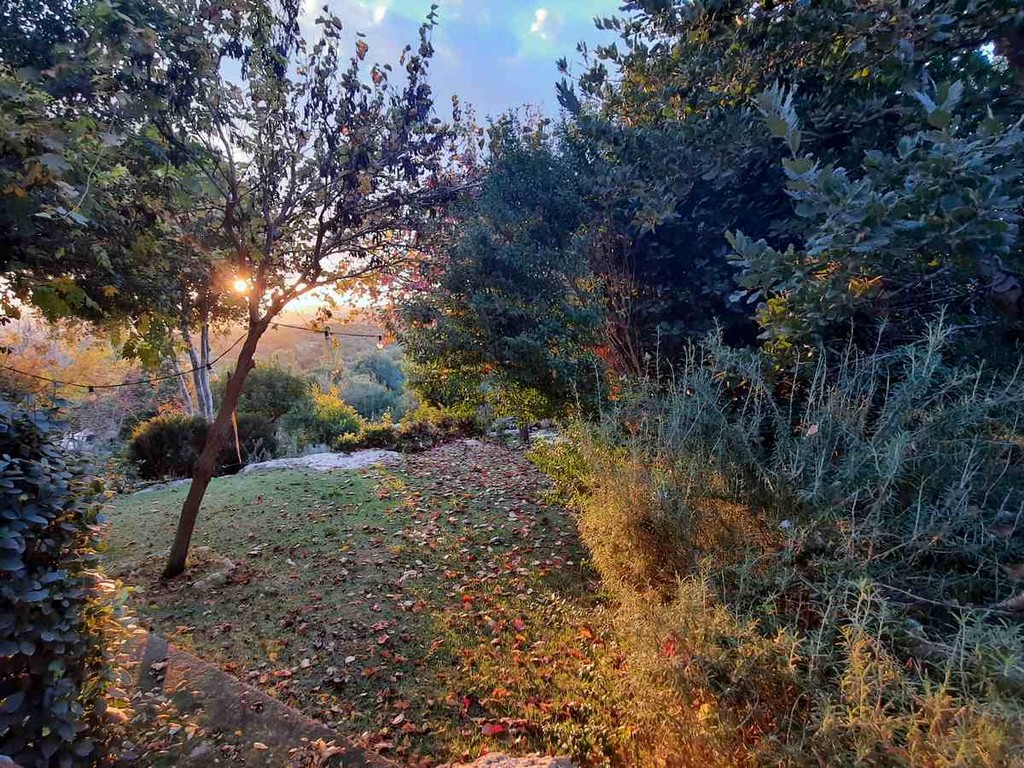 גינה פרטית משולבת בחורש הים תיכוני