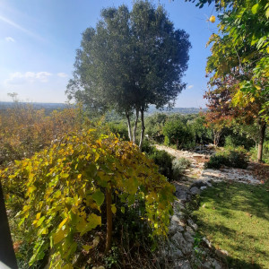 גינה פרטית משולבת בחורש הים תיכוני