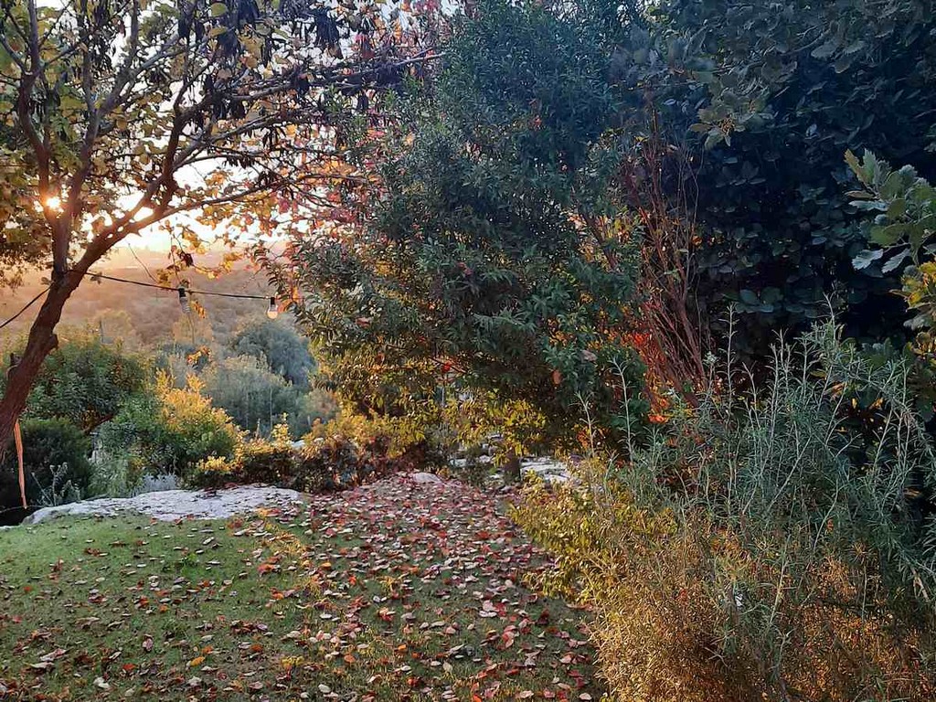 גינה פרטית משולבת בחורש הים תיכוני