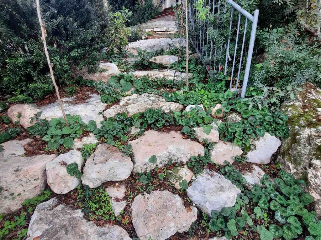 גינה פרטית משולבת בחורש הים תיכוני