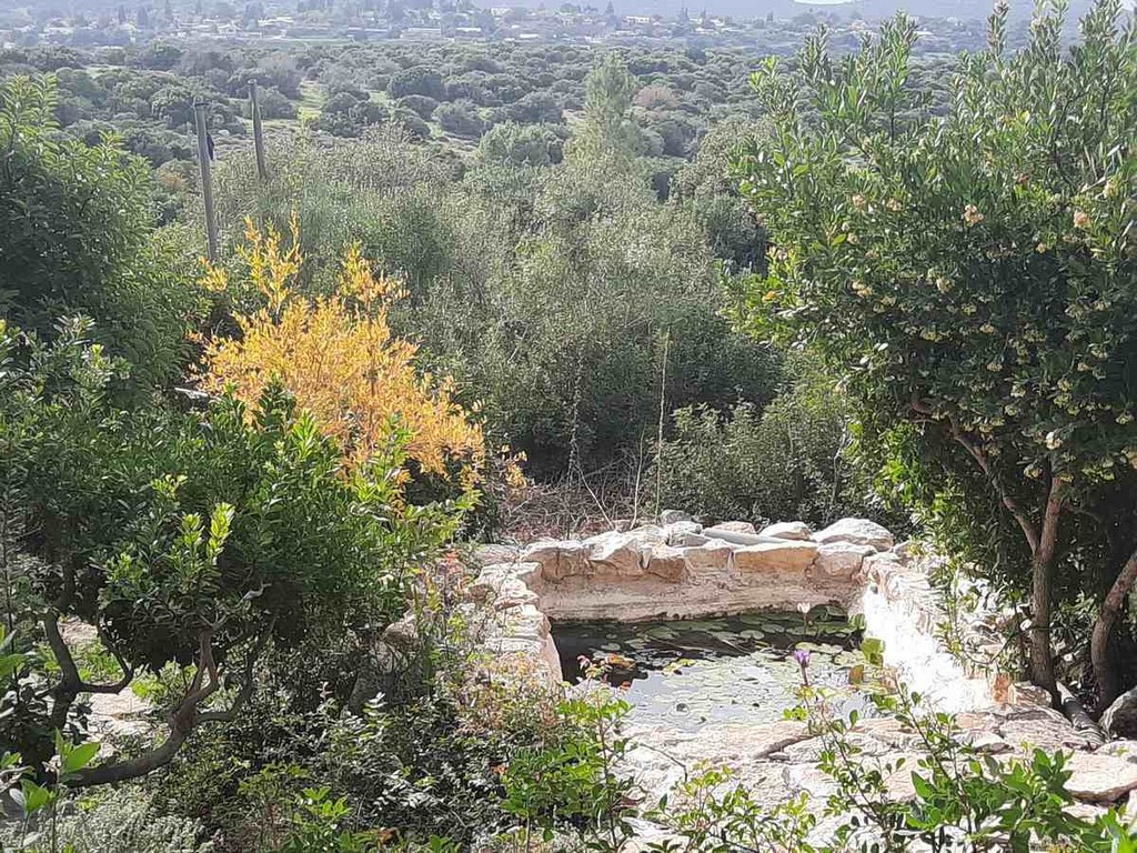 גינה פרטית משולבת בחורש הים תיכוני