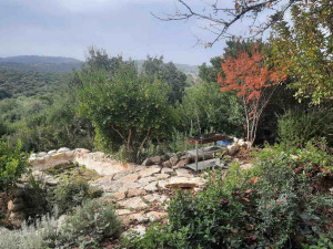 גינה פרטית משולבת בחורש הים תיכוני