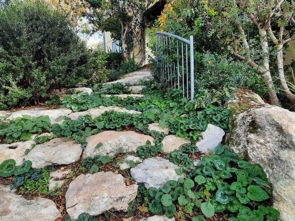 גינה פרטית משולבת בחורש הים תיכוני