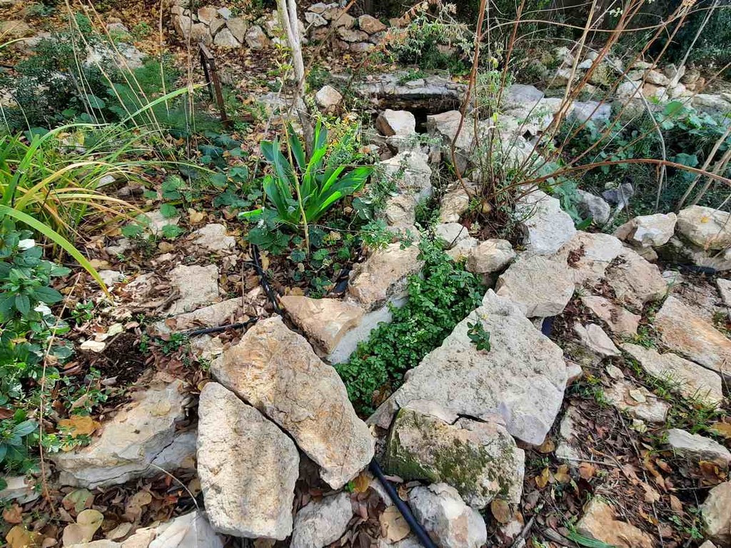 גינה פרטית משולבת בחורש הים תיכוני