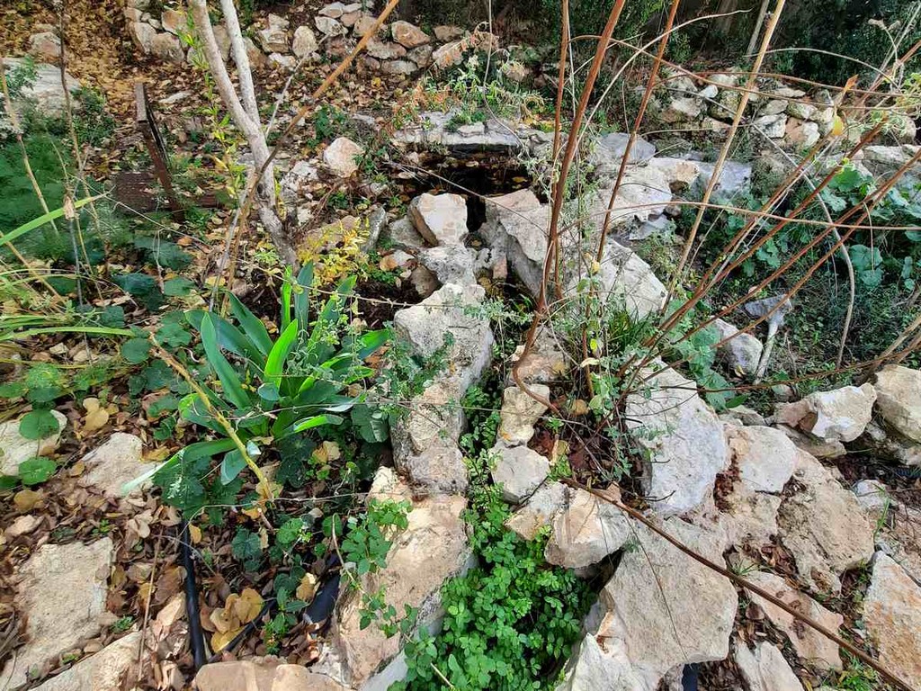 גינה פרטית משולבת בחורש הים תיכוני