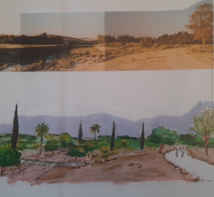 תכנית אב לנוף ותיירות: ציר ירוחם - חצבה