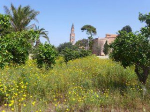 פארק החורשות באבו כביר