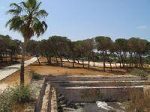 פארק החורשות באבו כביר