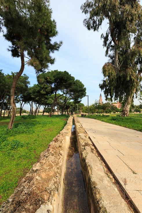 פארק החורשות באבו כביר