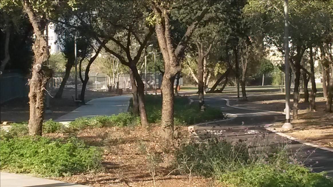 פארק החורשות באבו כביר