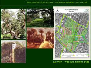 פארק החורשות באבו כביר